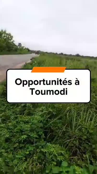 Terrain de 50 hectares à vendre à Toumodi (titre foncier)