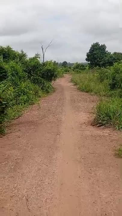 9 terrains à vendre près du corridor Sud (attestation villageoise)