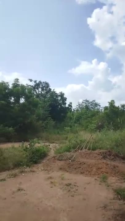Terrain de 800 m² à vendre à Guiglo 2 (ACD disponible)