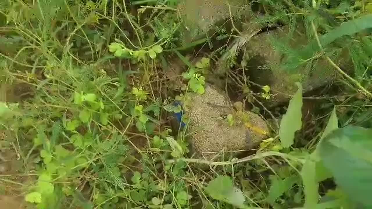 Terrain de 500 m² à vendre à Bouaké (Cité CIDT)