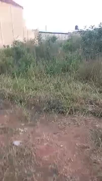 2 terrains de 500 m² chacun à vendre à Bouaké Autoroute