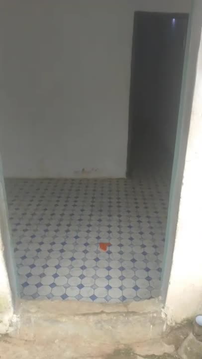 Studio meublé à louer à Ahougnassou
