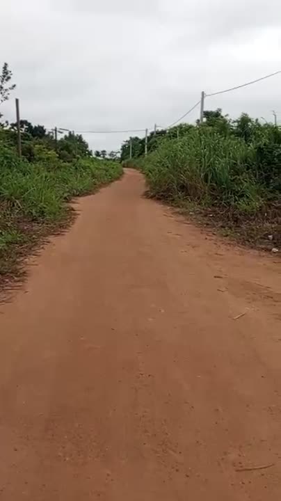 Terrain de 3 hectares à vendre à Kpoussoussou (ACD disponible)