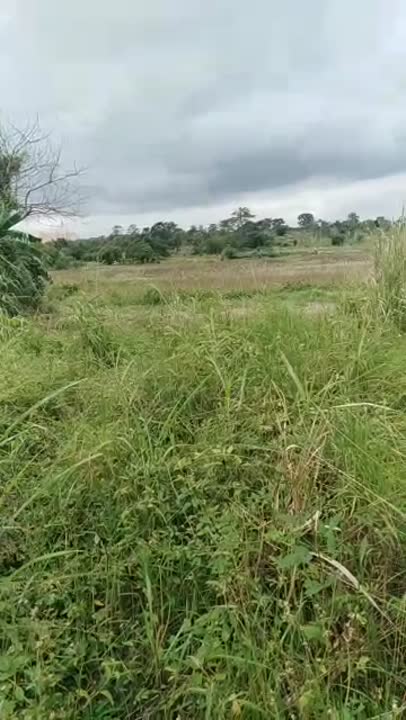 Terrain de 1724 m² à vendre à Millionnaire (ACD disponible)